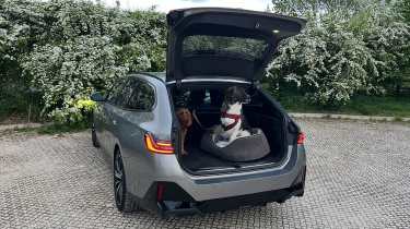 BMW 530e Touring long-term - dogs in the boot